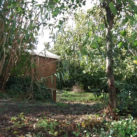 Su Ghindalu Guesthouse Guest house