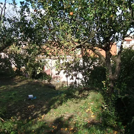 Su Ghindalu Guesthouse Guest house 3*