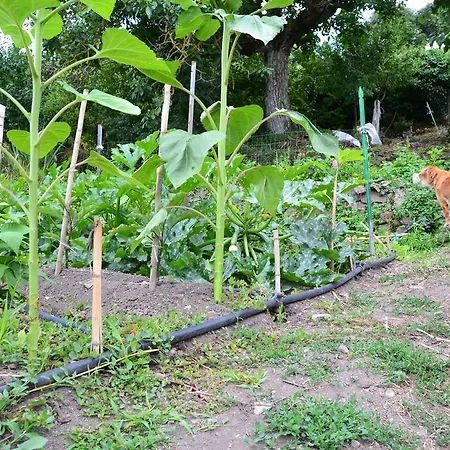 Su Ghindalu 3* Villanova Monteleone