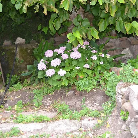 Pensjonat Su Ghindalu Villanova Monteleone